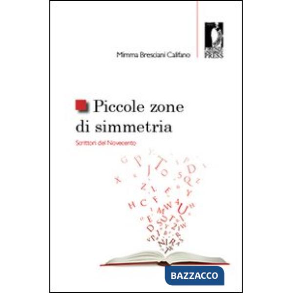 Piccole zone di simmetria. Scrittori del Novecento