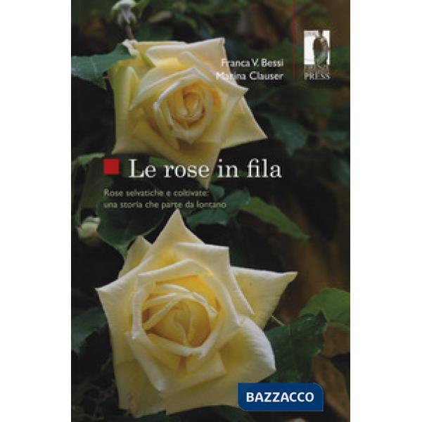 Rose in fila. Rose selvatiche e coltivate: una storia che parte da lontano (Le)