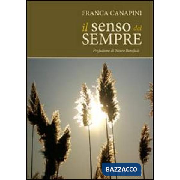 Senso del sempre (Il)