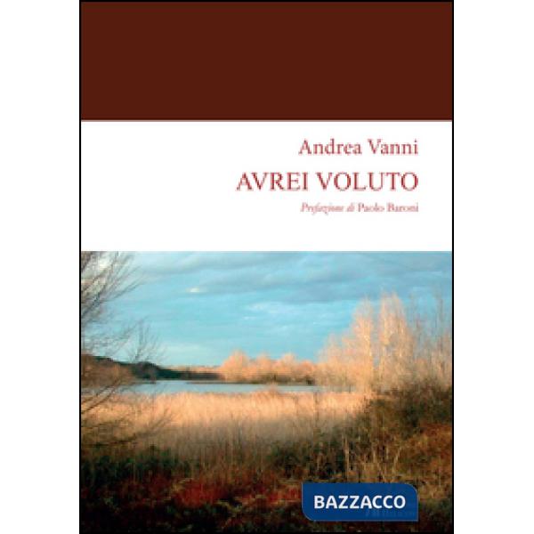 Avrei voluto