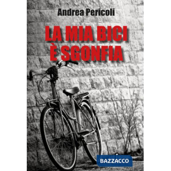 Mia bici è sgonfia (La)