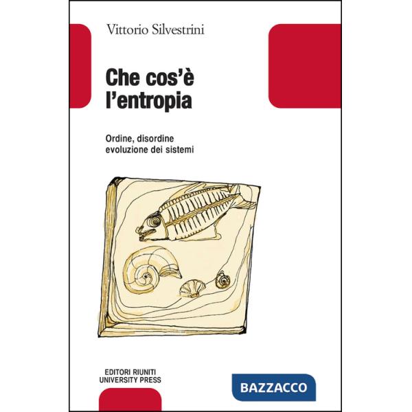 Che cos'è l'entropia. Ordine, disordine, evoluzione dei sistemi