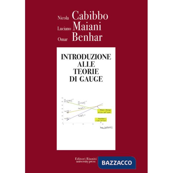 Introduzione alle teorie di Gauge