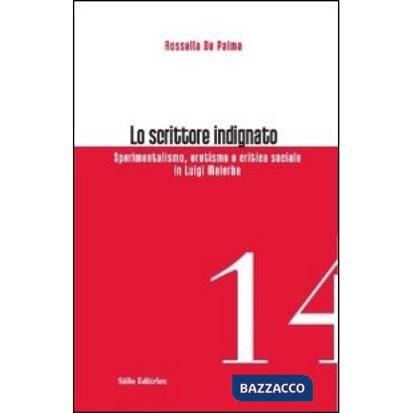 Scrittore indignato. Sperimentalismo, erotismo e critica sociale in Luigi Malerba (Lo)
