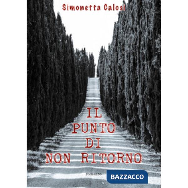 Punto di non ritorno (Il)