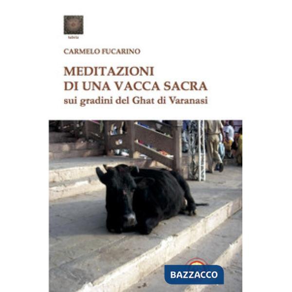 Meditazioni di una vacca sacra sui gradini del Ghat di Varanasi