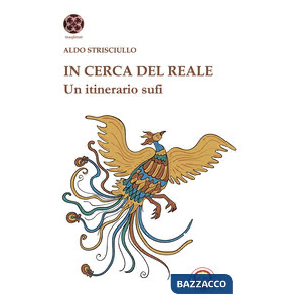 In cerca del reale. Un itinerario sufi