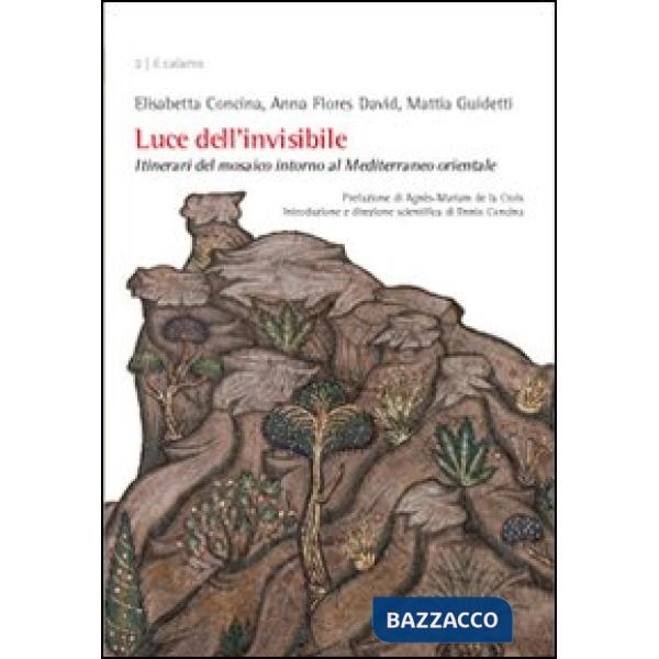 Luce dell'invisibile. Itinerario del mosaico intorno al Mediterraneo orientale