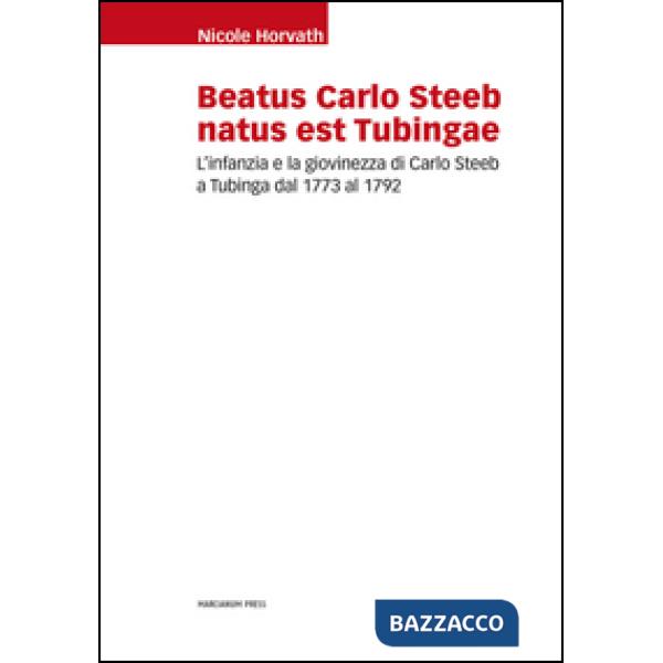 Beatus Carlo Steeb natus est Tubingae. L'infanzia e la giovinezza di Carlo Steeb