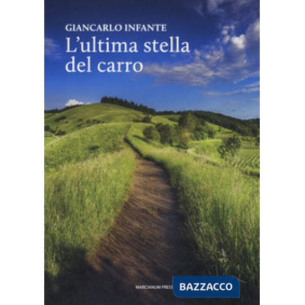 Ultima stella del carro (L')