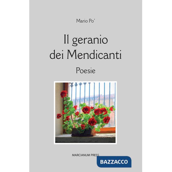 Geranio dei mendicanti (Il)