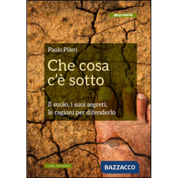 Che cosa c'è sotto. Il suolo, i suoi segreti, le ragioni per difenderlo