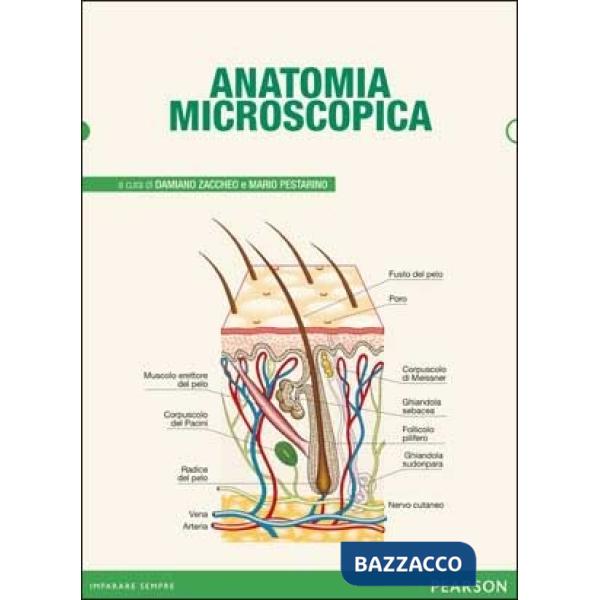 ANATOMIA MICROSCOPICA