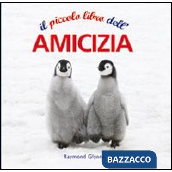 Piccolo libro dell'amicizia (Il)