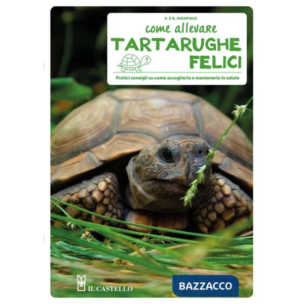 Come allevare tartarughe felici
