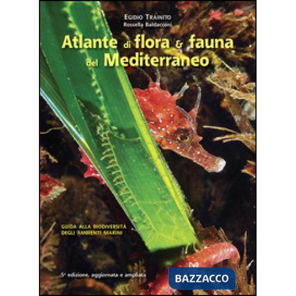 Atlante di flora & fauna del Mediterraneo. Ediz. illustrata