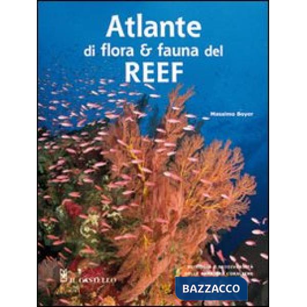 Atlante di flora e fauna del reef. Ediz. illustrata