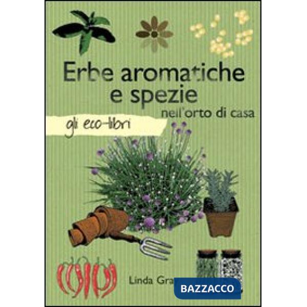 Erbe aromatiche e spezie nell'orto