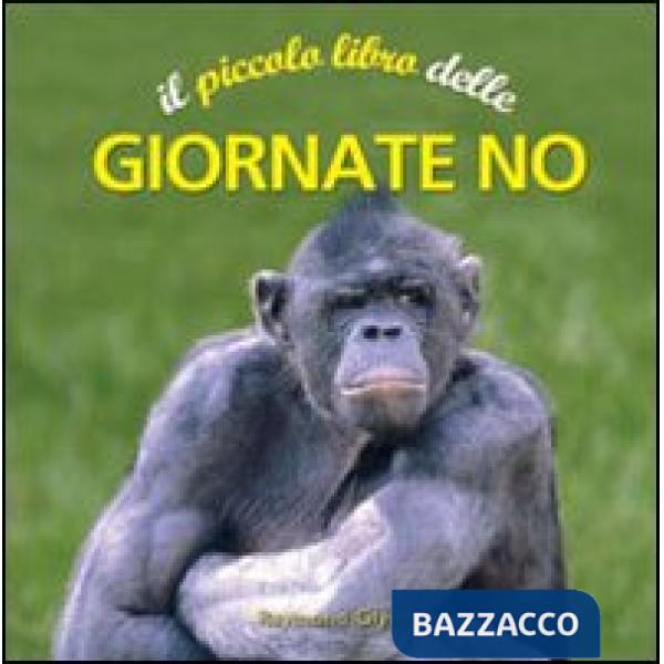 Piccolo libro delle giornate no (Il)