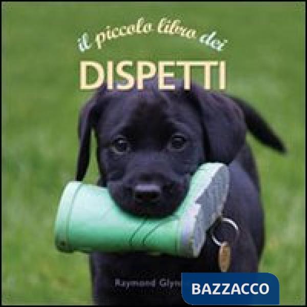 Piccolo libro dei dispetti (Il)