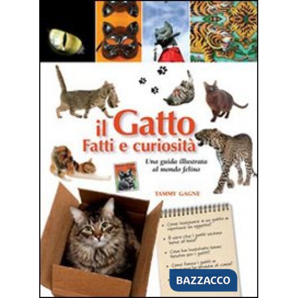 Gatto. Fatti e curiosità (Il)