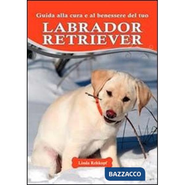 Guida alla cura e al benessere del tuo labrador retriever