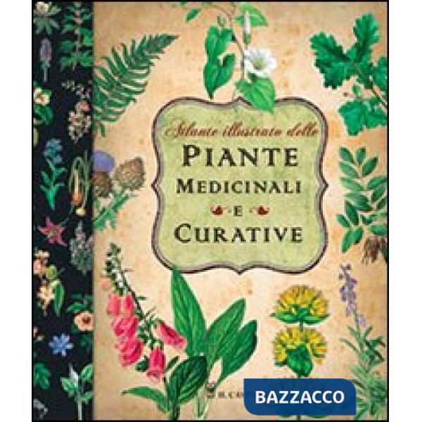 Atlante illustrato delle piante medicinali e curative. Ediz. illustrata
