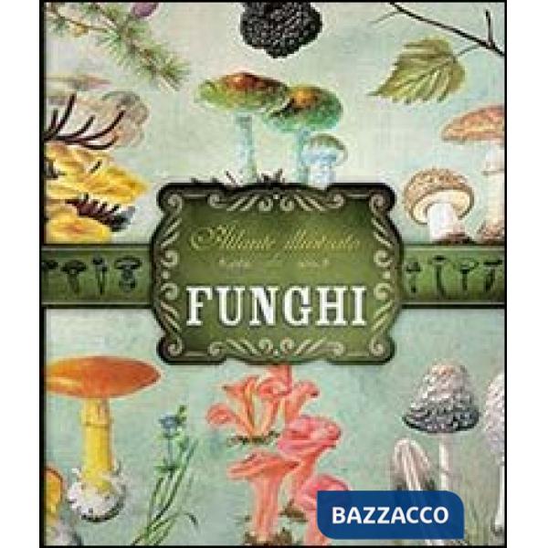 Atlante illustrato dei funghi