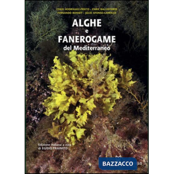 Alghe e fanerogame del Mediterraneo. Ediz. illustrata
