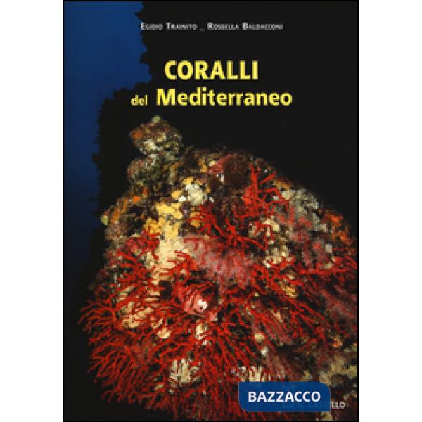 Coralli del Mediterraneo