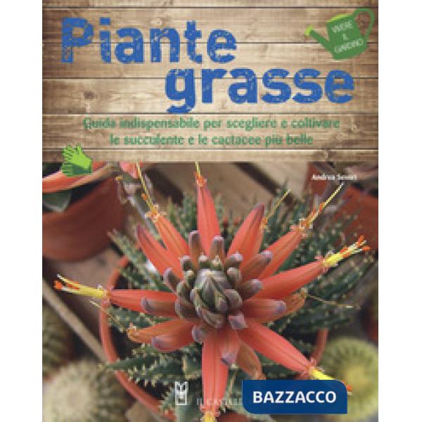 Piante grasse