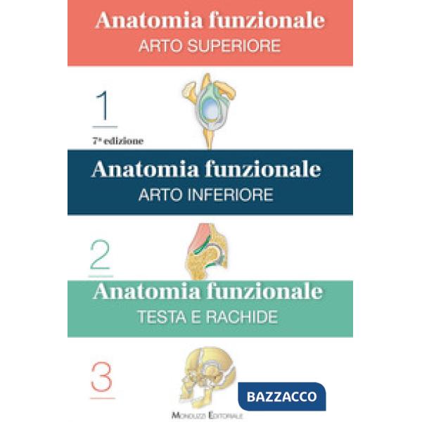 Anatomia funzionale
