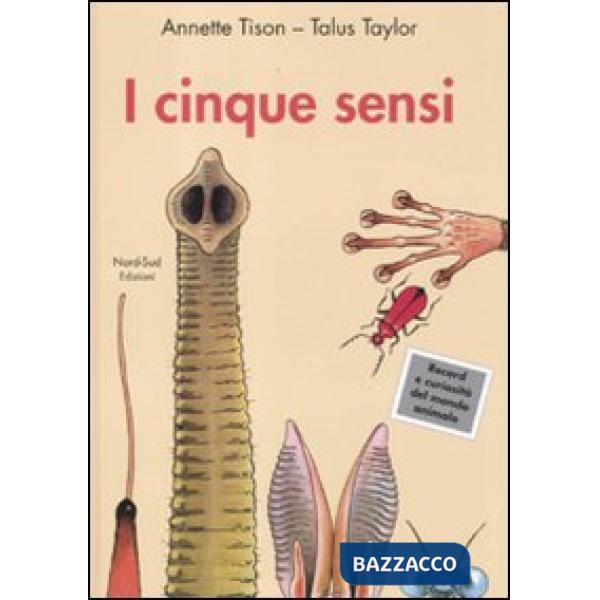 Cinque sensi. Ediz. illustrata (I)