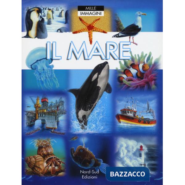 Mare. Ediz. a colori (Il)