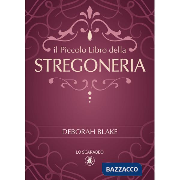 Piccolo libro della stregoneria (Il)