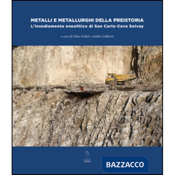 Metalli e metallurghi della preistoria. L'insediamento eneolitico di San Carlo-C