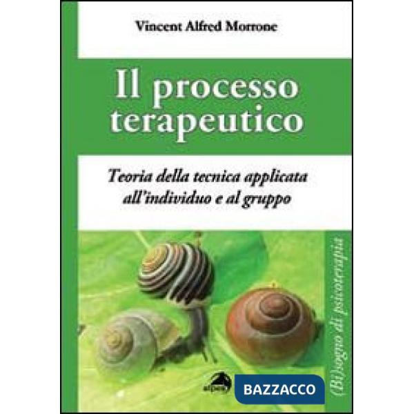 Processo terapeutico. Teoria delle tecnica applicata all'individuo e al gruppo (Il)