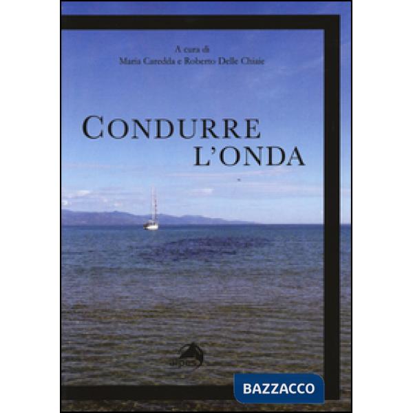 Condurre l'onda. Vivere con il disturbo bipolare