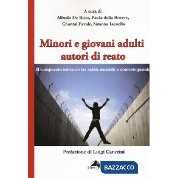 Minori e giovani adulti autori di reato. Il complicato intreccio tra salute mentale e contesto penale