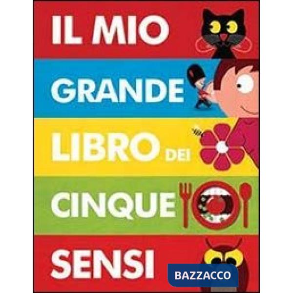 Mio grande libro dei cinque sensi. Ediz. illustrata (Il)