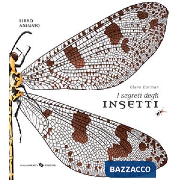 Segreti degli insetti. Ediz. a colori (I)