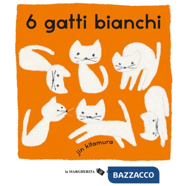6 gatti bianchi