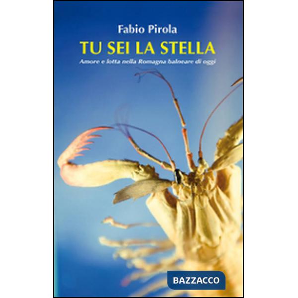 Tu sei la stella