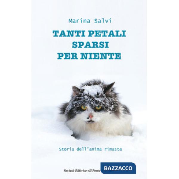 Tanti petali sparsi per niente