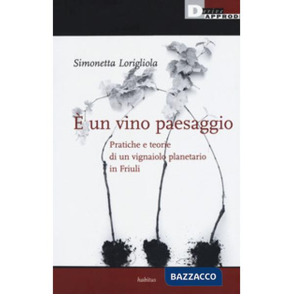 È un vino paesaggio. Pratiche e teorie di un vignaiolo planetario in Friuli