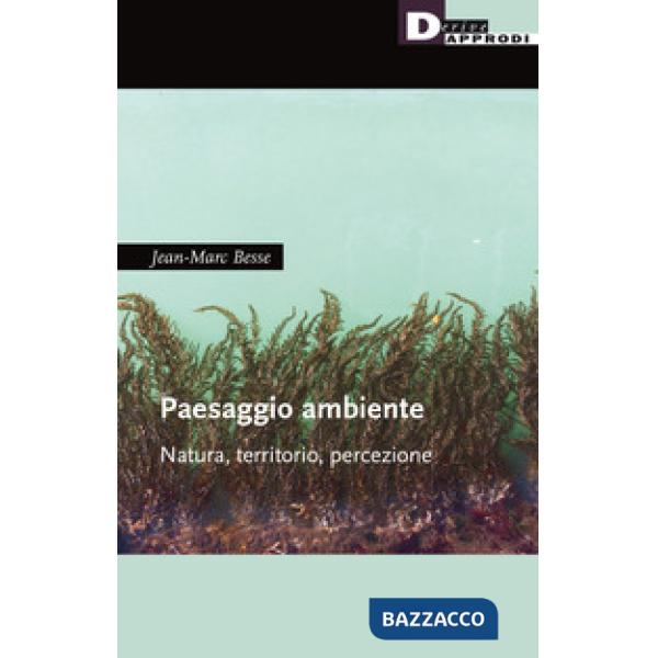 Paesaggio ambiente. Natura, territorio, percezione