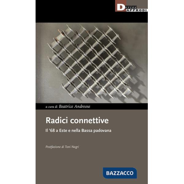 Radici connettive. Il '68 a Este e nella Bassa padovana