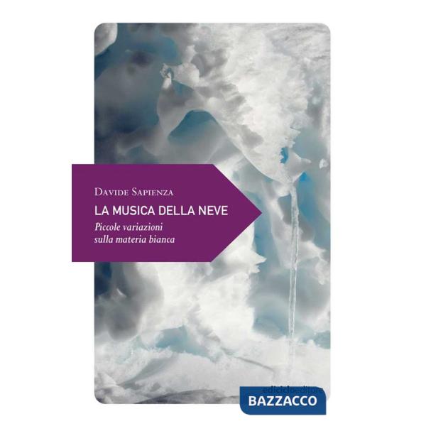 Musica della neve. Piccole variazioni sulla materia bianca (La)