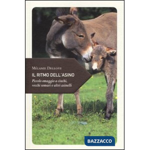 Ritmo dell'asino. Piccolo omaggio a ciuchi, vecchi somari e altri asinelli (Il)