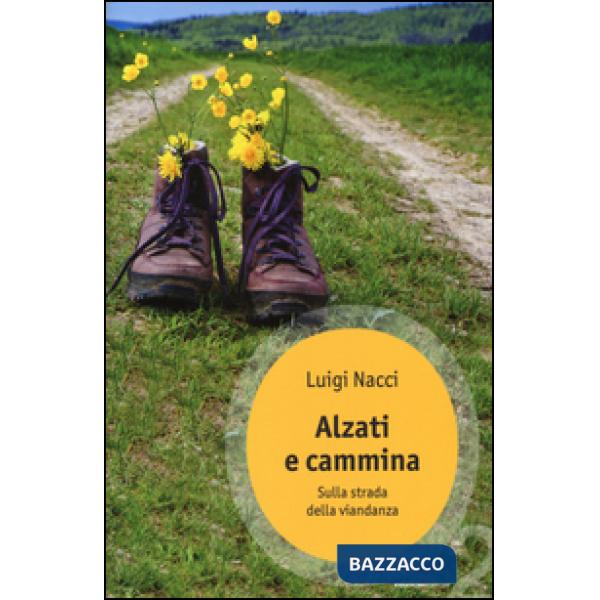 Alzati e cammina. Sulla strada della viandanza